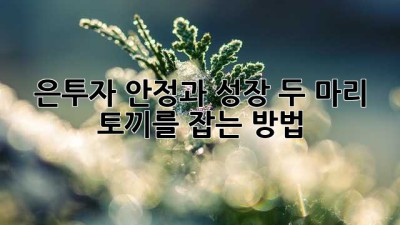 은투자: 안정과 성장, 두 마리 토끼를 잡는 방법